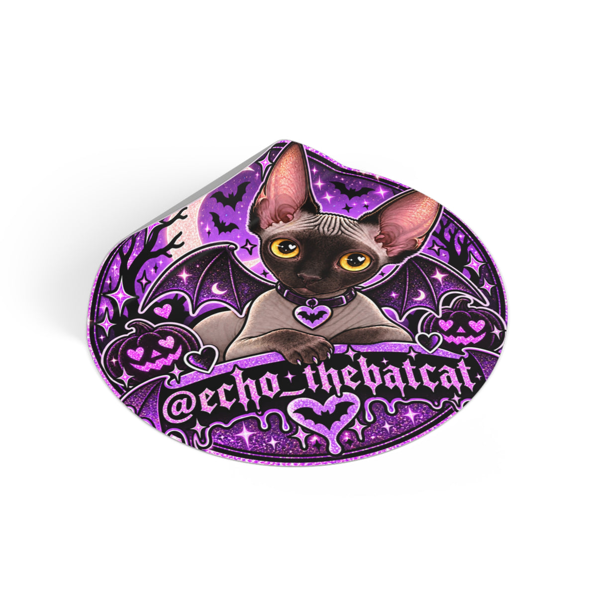 I MET ECHO THE BAT CAT ROUND VINYL STICKER