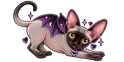 Echo The Bat Cat - Home